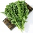 Cải xoăn (cải Kale) nhà trồng an toàn VietGAP